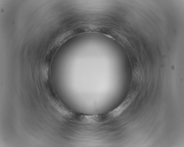 X0000088020188200705251101