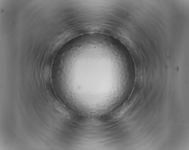 X0000088020189200705251101