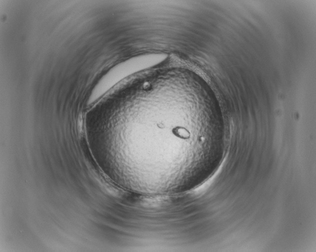 X0000088020190200705251101