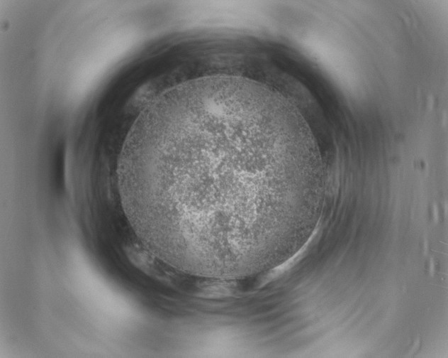 X0000088020191200705251101