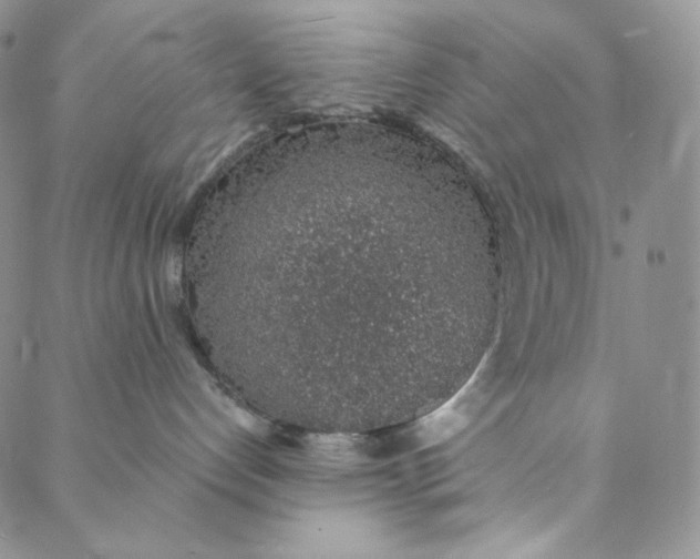 X0000088020192200705251101