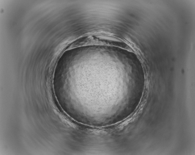 X0000088020193200705251100