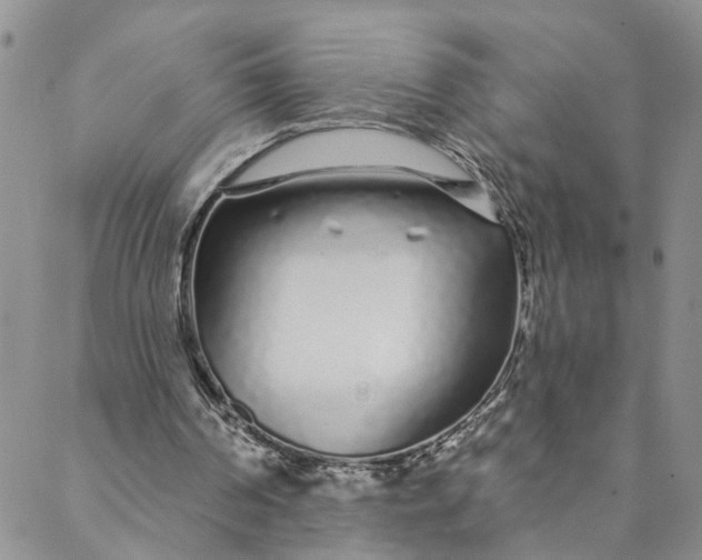 X0000088020194200705251100