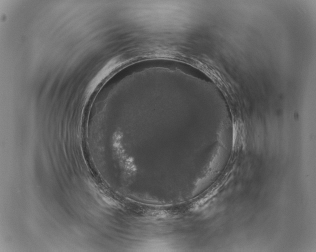 X0000088020195200705251100