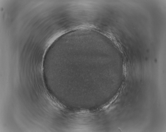 X0000088020196200705251100