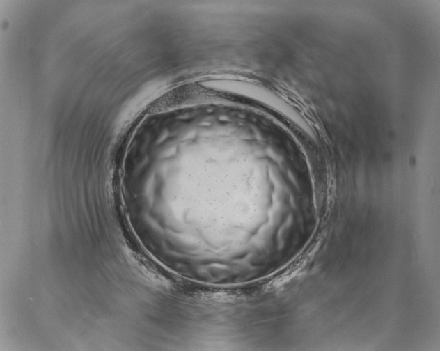 X0000088020197200705251100