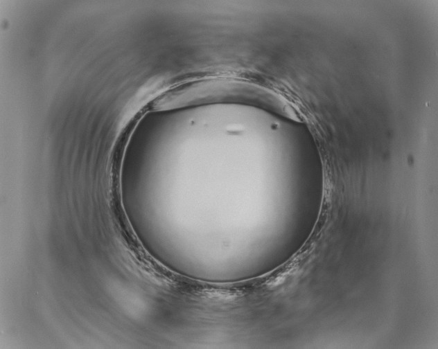 X0000088020198200705251100