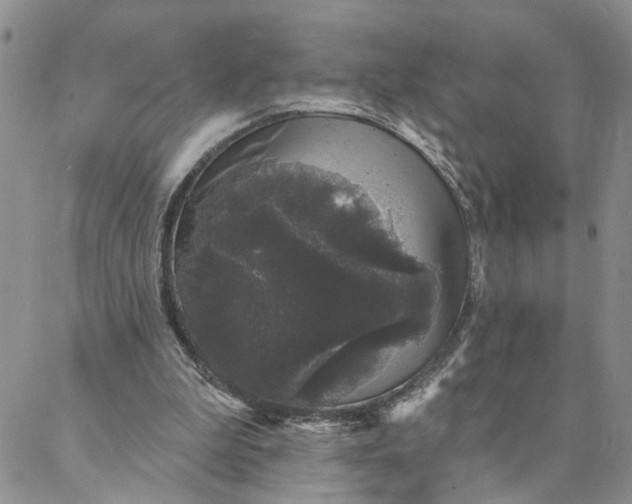 X0000088020199200705251100