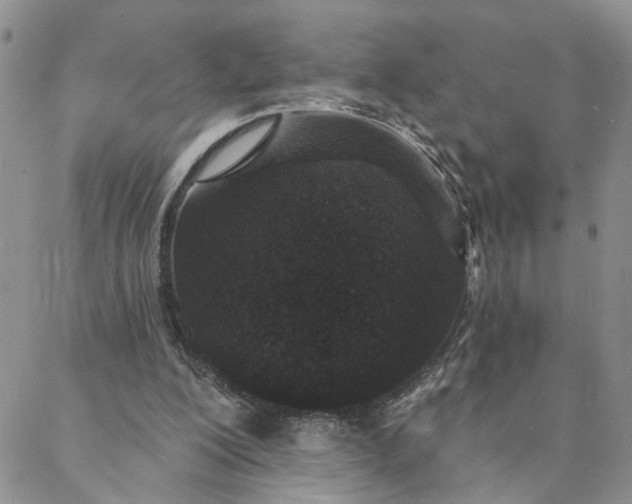 X0000088020200200705251100