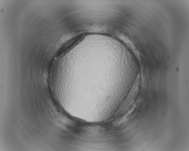 X0000088020201200705251100