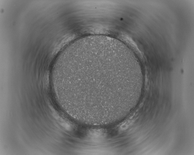 X0000088020202200705251100