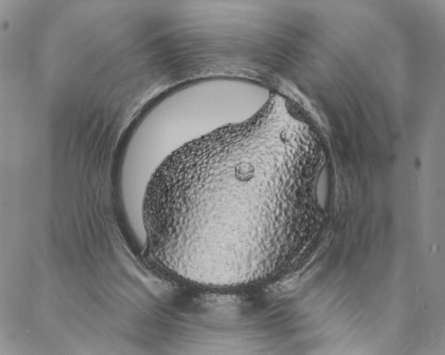 X0000088020203200705251100