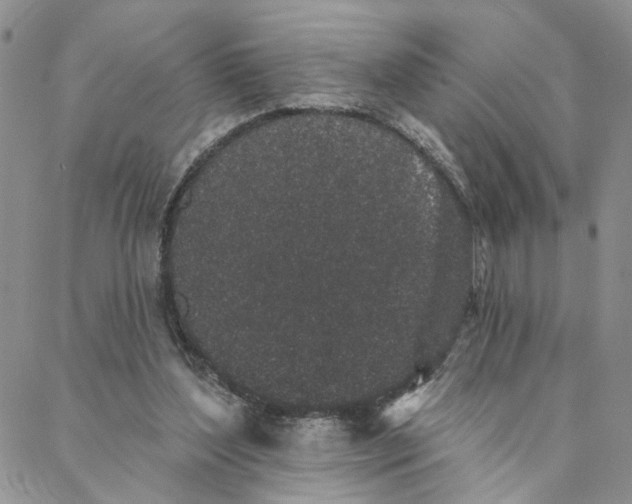 X0000088020204200705251100