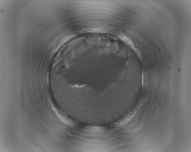 X0000088020205200705251100