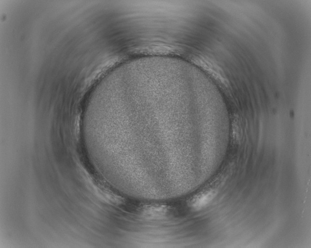 X0000088020206200705251100