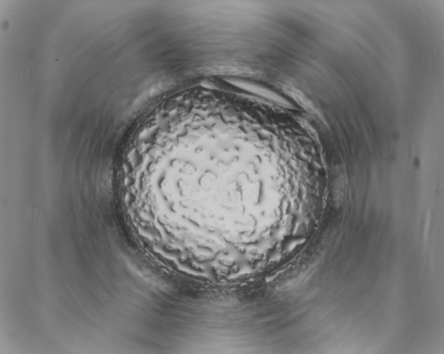 X0000088020207200705251100