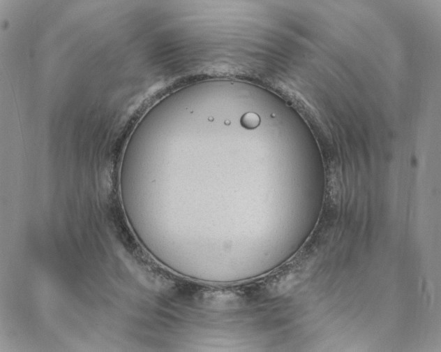 X0000088020208200705251100