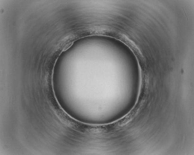 X0000088020209200705251100