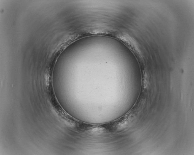 X0000088020210200705251100