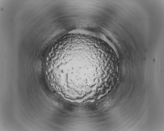 X0000088020211200705251100