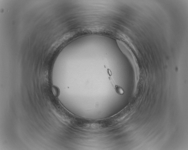 X0000088020212200705251100