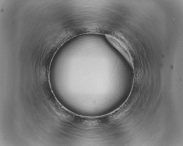 X0000088020213200705251100