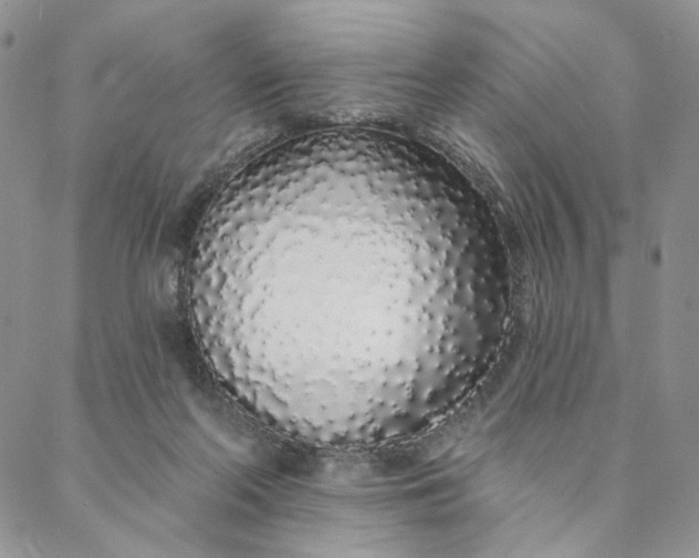 X0000088020214200705251100