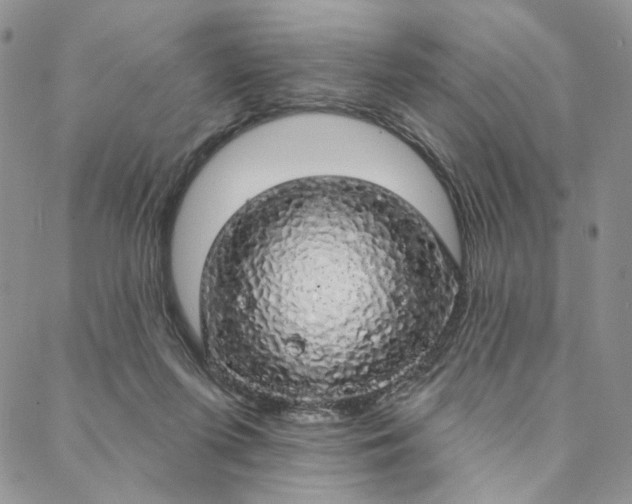 X0000088020215200705251100