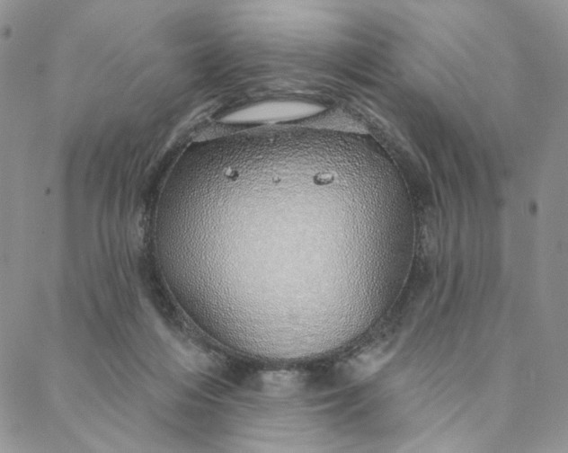 X0000088020216200705251100