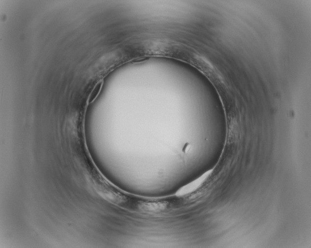 X0000088020217200705251100