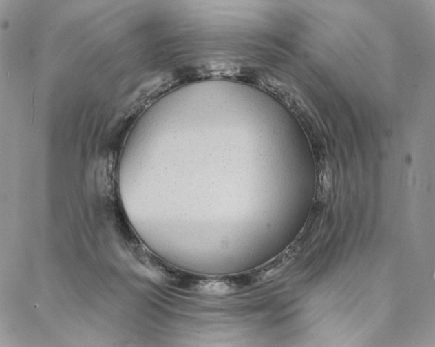 X0000088020218200705251100