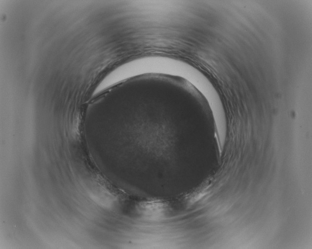 X0000088020219200705251100