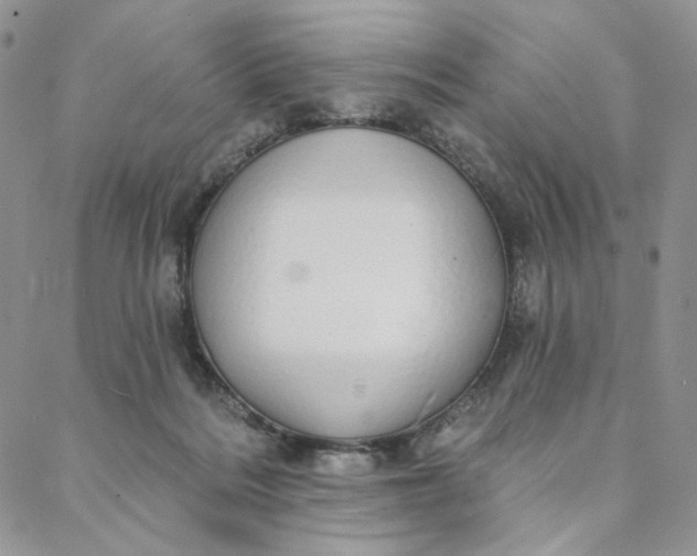 X0000088020220200705251100