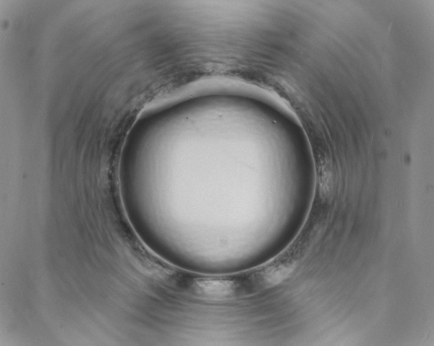 X0000088020221200705251100