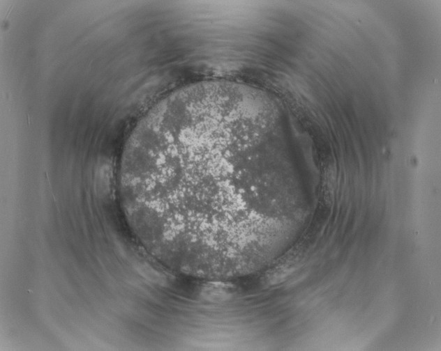 X0000088020222200705251059