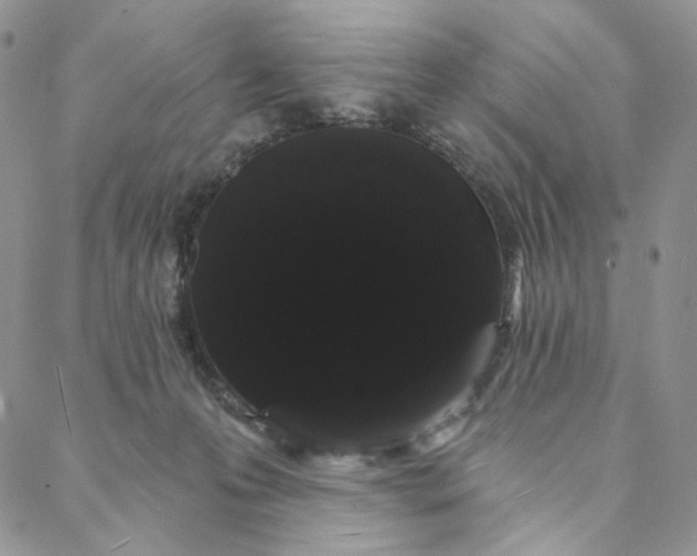 X0000088020223200705251059