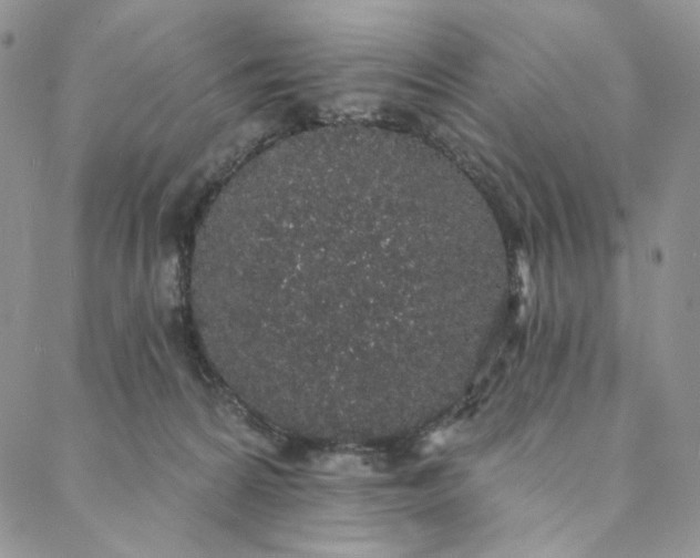 X0000088020224200705251059