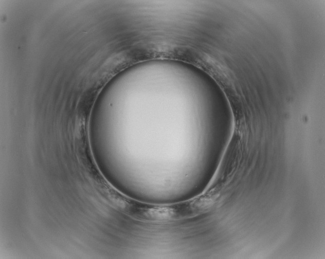 X0000088020225200705251059