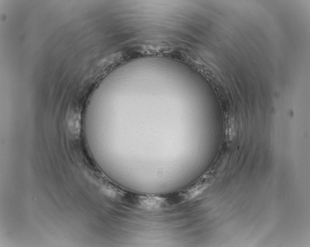 X0000088020226200705251059