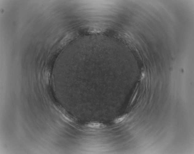 X0000088020227200705251059