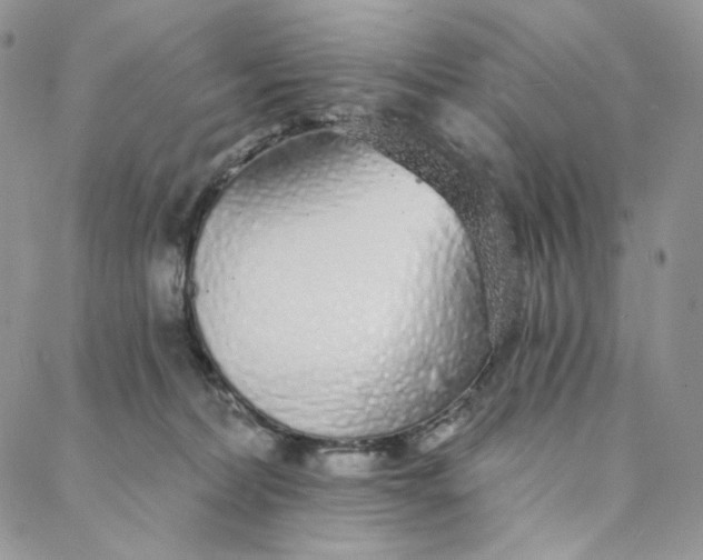 X0000088020228200705251059