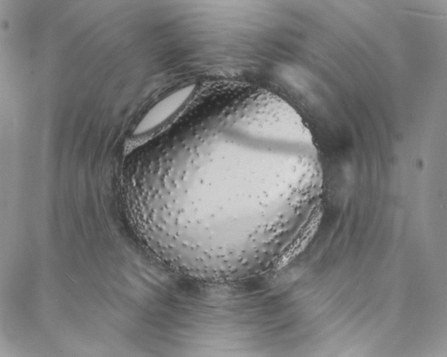 X0000088020229200705251059