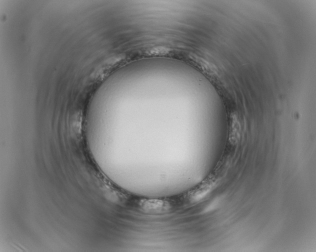 X0000088020230200705251059