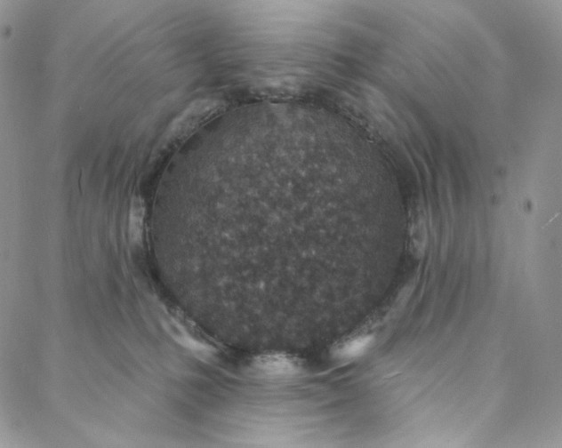 X0000088020231200705251059