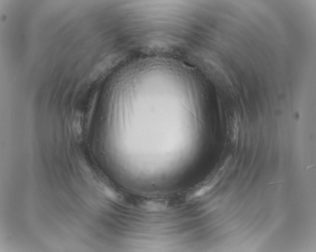 X0000088020232200705251059