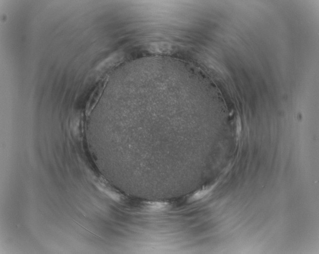 X0000088020233200705251059