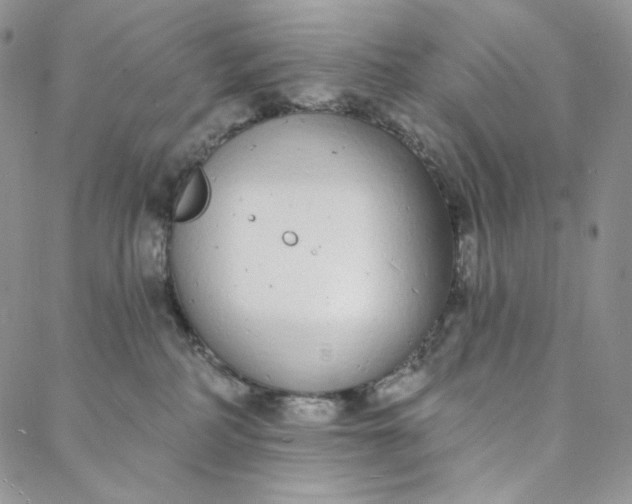 X0000088020234200705251059