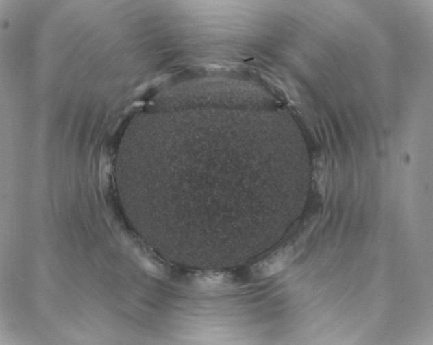 X0000088020235200705251059