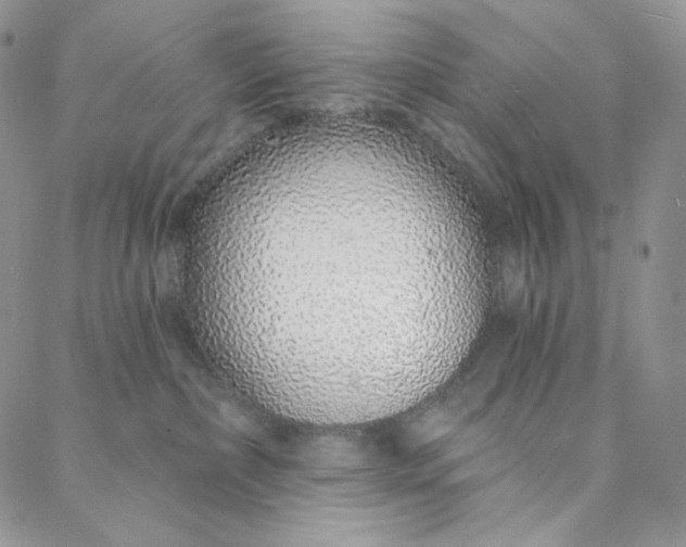 X0000088020236200705251059