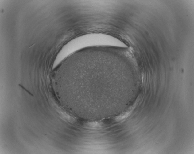 X0000088020237200705251059